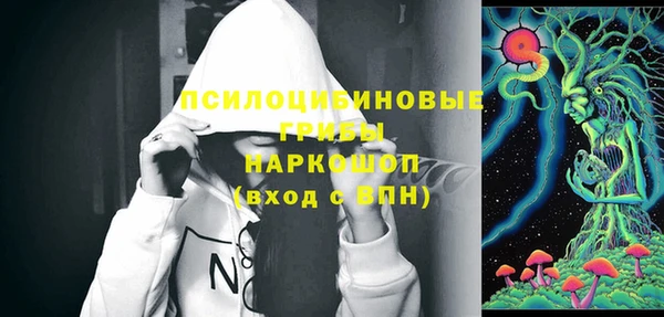 стаф Лабытнанги